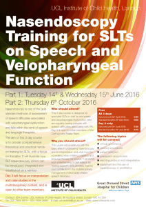 Nasendoscopy Training for SLTs on Speech and Velopharyngeal
