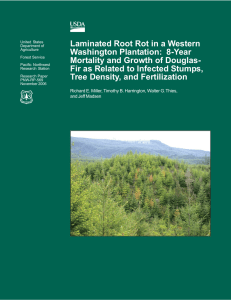 Laminated Root Rot in a Western Washington Plantation:  8-Year