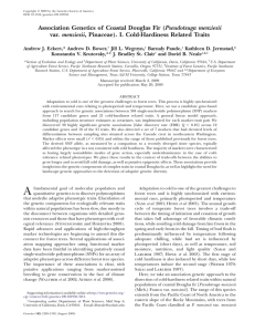 Association Genetics of Coastal Douglas Fir (Pseudotsuga menziesii