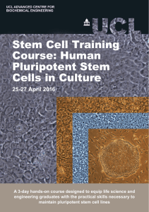 Stem Cell Training Course: Human Pluripotent Stem Cells in Culture