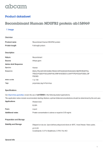 Recombinant Human NDUFB2 protein ab158969 Product datasheet 1 Image Overview