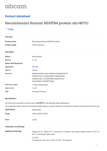 Recombinant Human NDUFB4 protein ab140721 Product datasheet 1 Image Overview