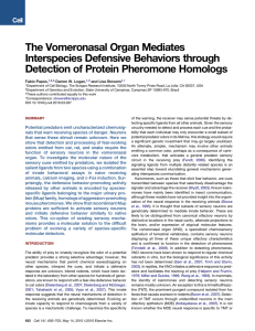 The Vomeronasal Organ Mediates Interspecies Defensive Behaviors through