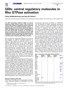 GDIs: central regulatory molecules in Rho GTPase activation