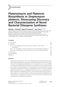 Platensimycin and Platencin Biosynthesis in Streptomyces platensis, Showcasing Discovery and Characterization of Novel