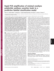 Rapid PCR amplification of minimal enediyne predictive familial classification model