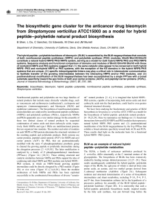 The biosynthetic gene cluster for the anticancer drug bleomycin