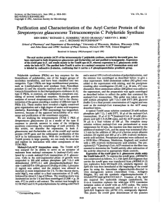 Purification and Characterization Streptomyces glaucescens Tetracenomycin