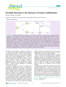 ﬁde Reactivity in the Detection of Protein S‑Sulfhydration Persul *