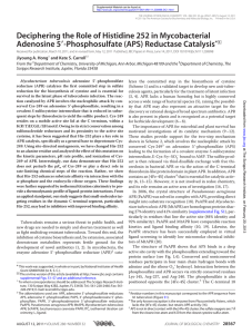 Deciphering the Role of Histidine 252 in Mycobacterial Adenosine 5 *