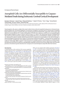 Aneuploid Cells Are Differentially Susceptible to Caspase-