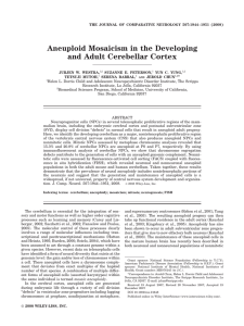 Aneuploid Mosaicism in the Developing and Adult Cerebellar Cortex