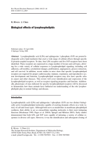 Biological effects of lysophospholipids R. Rivera · J. Chun