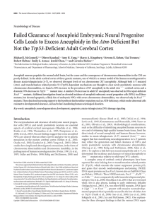 Failed Clearance of Aneuploid Embryonic Neural Progenitor Not the Atm