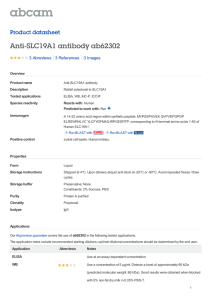 Anti-SLC19A1 antibody ab62302 Product datasheet 3 Abreviews 3 Images