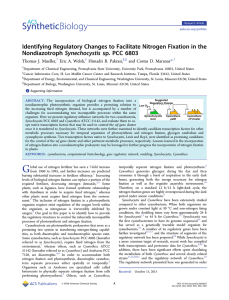 Identifying Regulatory Changes to Facilitate Nitrogen Fixation in the Nondiazotroph