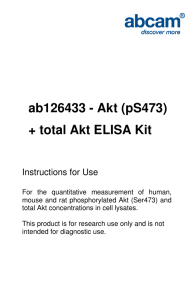 ab126433 - Akt (pS473) + total Akt ELISA Kit  Instructions for Use
