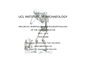 UCL INSTITUTE OF ARCHAEOLOGY ARCLMG143: MORPHOLOGY AND PALAEOPATHOLOGY OF THE HUMAN SKELETON