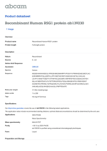 Recombinant Human RSG1 protein ab139230 Product datasheet 1 Image Overview