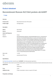 Recombinant Human SLC15A3 protein ab162497 Product datasheet 1 Image Overview