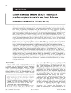 Dwarf mistletoe effects on fuel loadings in NOTE / NOTE