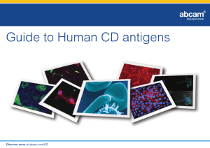 Guide to Human CD antigens Discover more at abcam.com/CD