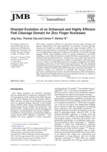 Directed Evolution of an Enhanced and Highly Efficient ⁎