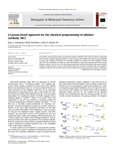-Lactam-based approach for the chemical programming of aldolase b antibody 38C2