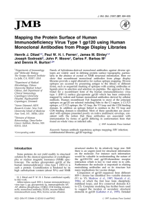 Mapping the Protein Surface of Human