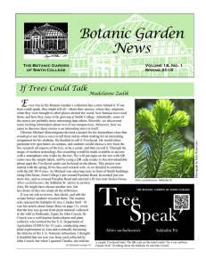 Botanic Garden News E If Trees Could Talk
