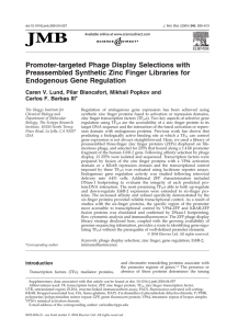 Promoter-targeted Phage Display Selections with Preassembled Synthetic Zinc Finger Libraries for