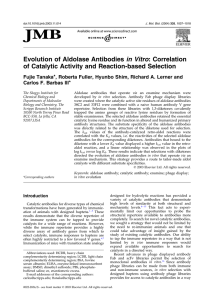 Evolution of Aldolase Antibodies in Vitro: Correlation