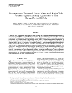 Development  of  Functional  Human  Monoclonal ... Variable  Fragment  Antibody  Against  HIV-1 ...