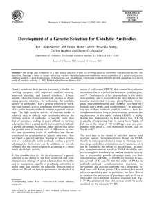 Development of a Genetic Selection for Catalytic Antibodies