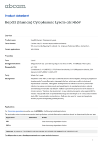 HepG2 (Human) Cytoplasmic Lysate ab14659 Product datasheet Overview Product name
