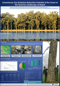 Greenhouse Gas Emissions Reduction Potential of the Forest of