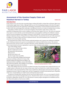 Assessment of the Hazelnut Supply Chain and Hazelnut Harvest in Turkey Introduction