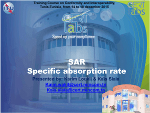 SAR Specific absorption rate  by: Karim Loukil &amp; Kaïs Siala
