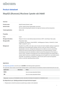 HepG2 (Human) Nuclear Lysate ab14660 Product datasheet Overview Product name