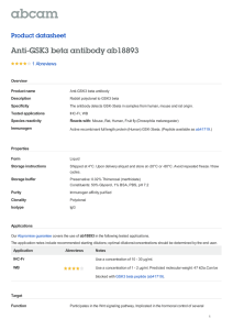 Anti-GSK3 beta antibody ab18893 Product datasheet 1 Abreviews Overview