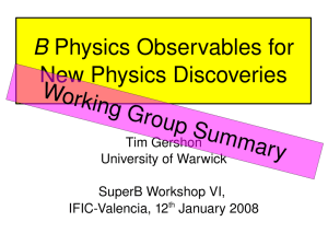 B New Physics Discoveries Working Gr oup Summar