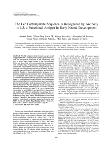 The Lex Carbohydrate Sequence Is Recognized by Antibody