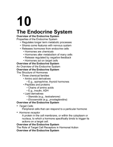 10 The Endocrine System •