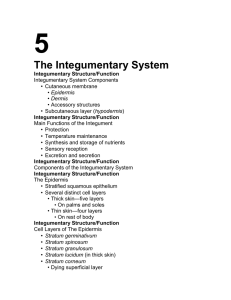 5 The Integumentary System •