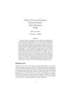 Volvox Inversion Mechanics Research Report Solid Mechanics ES240