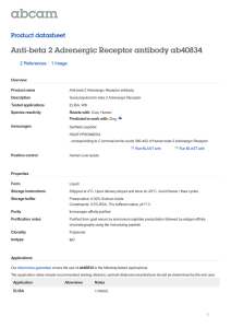 Anti-beta 2 Adrenergic Receptor antibody ab40834 Product datasheet 2 References 1 Image