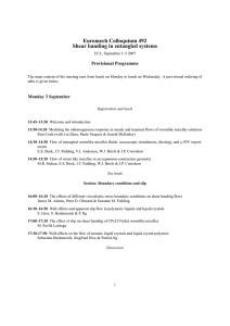 Euromech Colloquium 492 Shear banding in entangled systems Provisional Programme