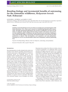 Breeding biology and incremental benefits of outcrossing for the restoration wildflower,