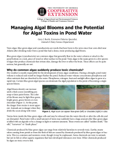 Managing Algal Blooms and the Potential