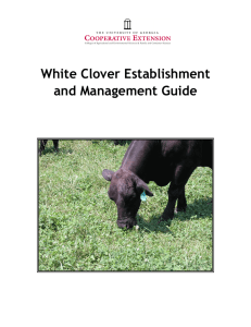 White Clover Establishment and Management Guide